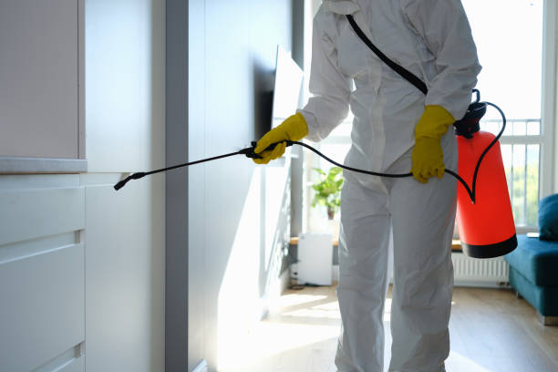 Best Mold Remediation for Schools in San Carlos, TX